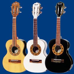 Cavaco Studio  ROZINI 